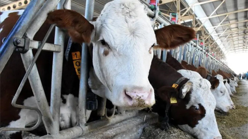 Üreticiler Dikkat! Son gün 1 Aralık