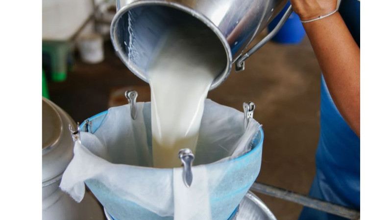 Burdur, Denizli ve Isparta Dahil  5 İlde Çiğ Süt Fiyatları Güncellendi!