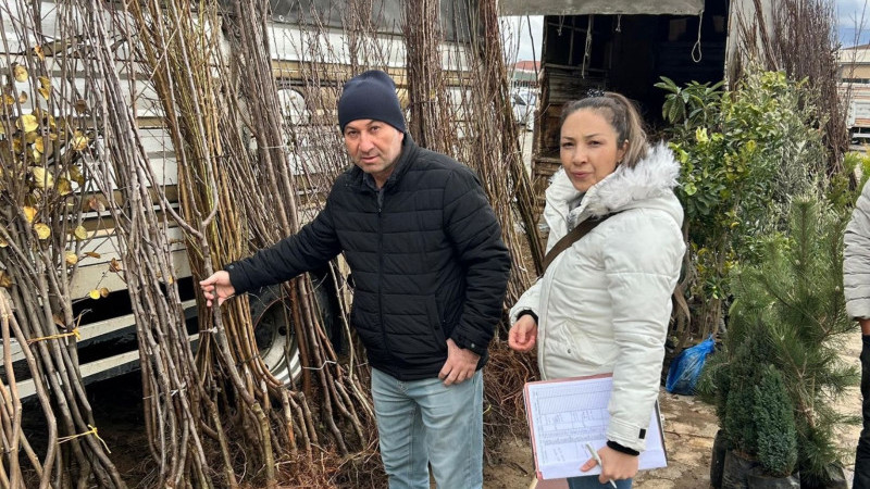 Sağlıksız Fidana Geçit Yok