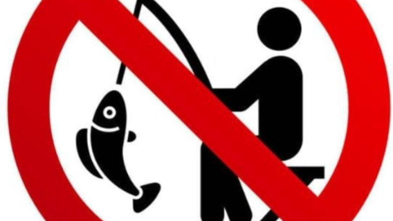 Avcılar Dikkat! Su Ürünleri  Av Yasağı  Başladı