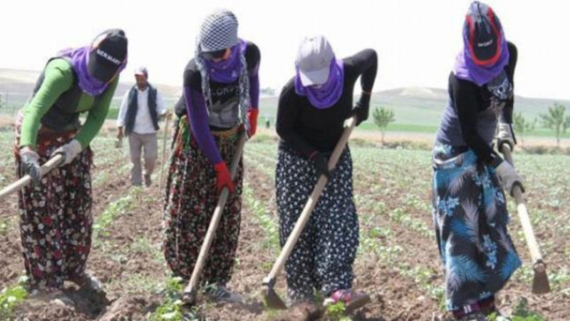 Gölhisar ve Çevresinde Yevmiye Ayarı