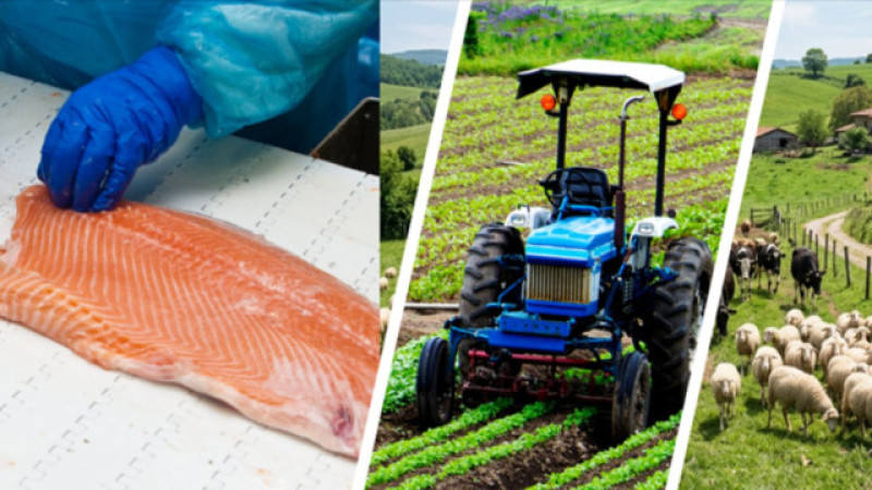 Ipard III Programı 2026 Yılı Çağrısı Yayımlandı