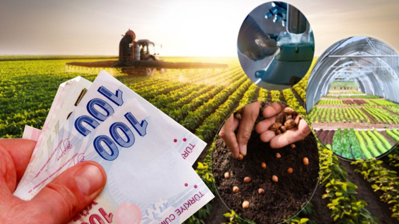 Çiftçiye 9 Milyar Liralık Dev Destek Ödemesi Başladı