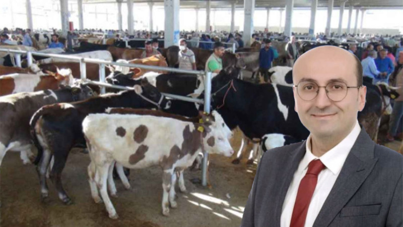 Şap Alarmı! Çavdır Hayvan Pazarı için Kritik Karar